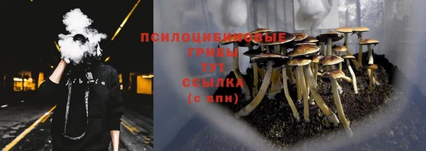 соль ск Алексеевка