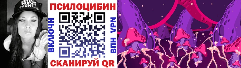 Галлюциногенные грибы мицелий  Петрозаводск 