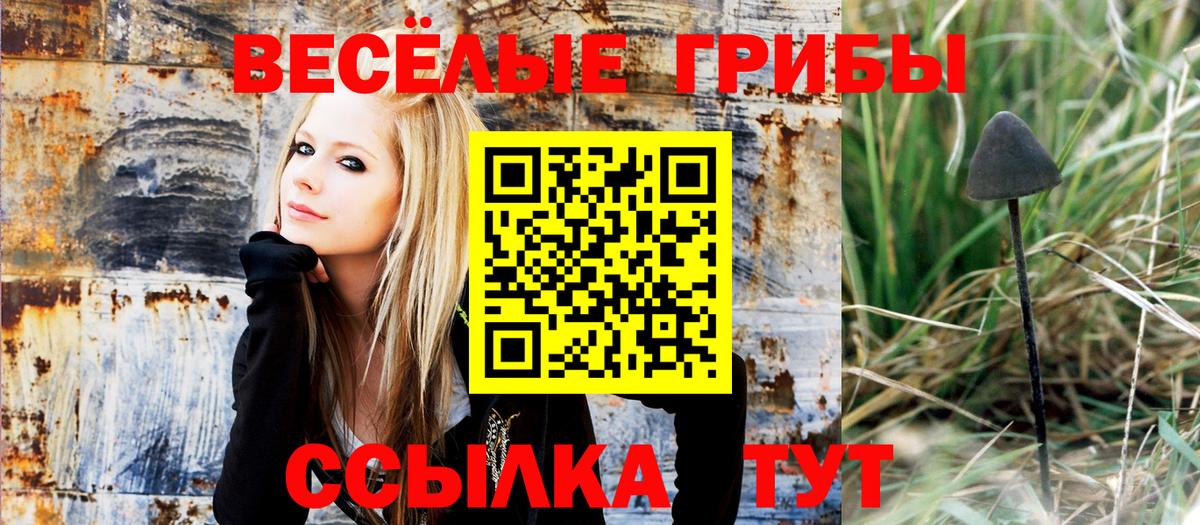 Псилоцибиновые грибы прущие грибы  Вход с VPN  Петрозаводск 